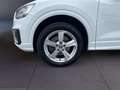 Audi Q2 Sport 1,4 TFSI s-tronic LED Navi Weiß - thumbnail 7