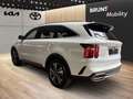 Kia Sorento 1.6 AWD HEV Platinum 7-Sitzer Glasdach Weiß - thumbnail 4