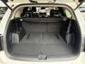 Kia Sorento 1.6 AWD HEV Platinum 7-Sitzer Glasdach Weiß - thumbnail 12