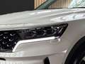 Kia Sorento 1.6 AWD HEV Platinum 7-Sitzer Glasdach Weiß - thumbnail 5