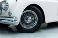 Jaguar XK 150 Coupe I Maching I Heritage I LHD White - thumbnail 10