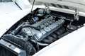 Jaguar XK 150 Coupe I Maching I Heritage I LHD Weiß - thumbnail 22