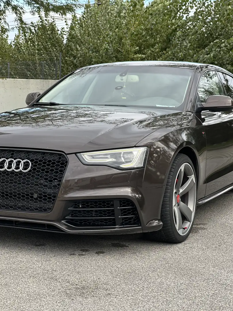 Audi A5 3.0 TDI Sportback quattro DPF S tronic - 2