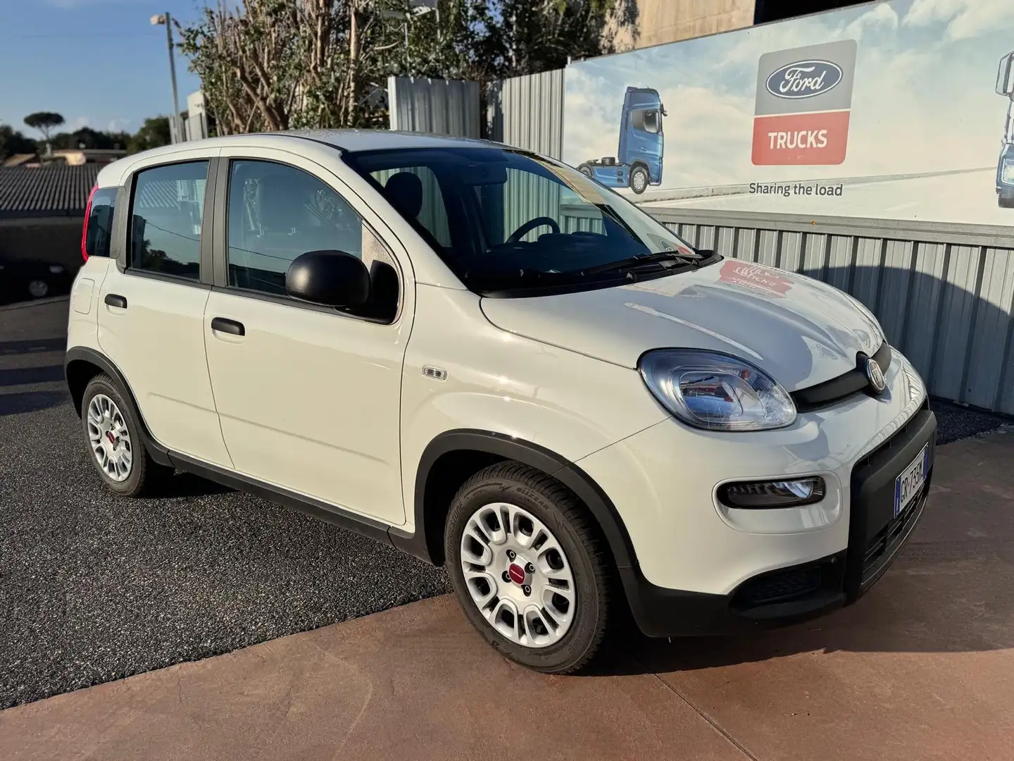 Fiat Panda Panda 1.0 FireFly hybrid 1.0 S&S -  NO VINCOLI Blanco - 2