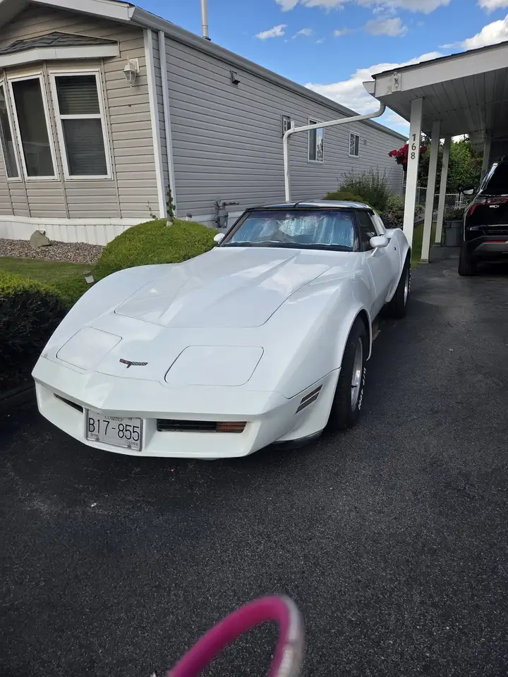 1981 Chevrolet Corvette
