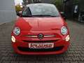 Fiat 500 Sondermodell "Cult"       Mild-Hybrid Orange - thumbnail 4
