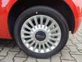 Fiat 500 Sondermodell "Cult"       Mild-Hybrid Orange - thumbnail 15