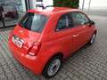 Fiat 500 Sondermodell "Cult"       Mild-Hybrid Orange - thumbnail 9