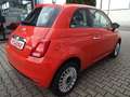 Fiat 500 Sondermodell "Cult"       Mild-Hybrid Orange - thumbnail 10