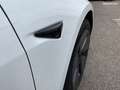 Tesla Model 3 STANDARD RWD PLUS MY21 Blanc - thumbnail 19
