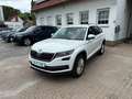 Skoda Kodiaq Kodiaq 1.5 TSI ACT DSG Ambition/7 plaatsen/trekh. Blanc - thumbnail 24