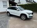 Skoda Kodiaq Kodiaq 1.5 TSI ACT DSG Ambition/7 plaatsen/trekh. Blanc - thumbnail 21