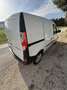 Renault Kangoo Kangoo 1.5 dci Expression 80cv Bianco - thumbnail 4