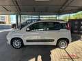Fiat New Panda Panda 1.3 mjt 16v Easy 75cv E5+ Beige - thumbnail 3