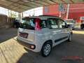 Fiat New Panda Panda 1.3 mjt 16v Easy 75cv E5+ Beige - thumbnail 6