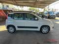 Fiat New Panda Panda 1.3 mjt 16v Easy 75cv E5+ Beige - thumbnail 9