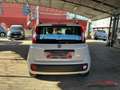 Fiat New Panda Panda 1.3 mjt 16v Easy 75cv E5+ Beige - thumbnail 5