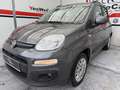 Fiat Panda 1.2 Gasolina/GLP Lounge Gris - thumbnail 20