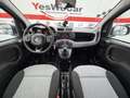 Fiat Panda 1.2 Gasolina/GLP Lounge Gris - thumbnail 7