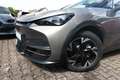 CUPRA Tavascan Endurance 77 kWh Nav SHZ ParkA Kessy 210 kW (28... Beige - thumbnail 5
