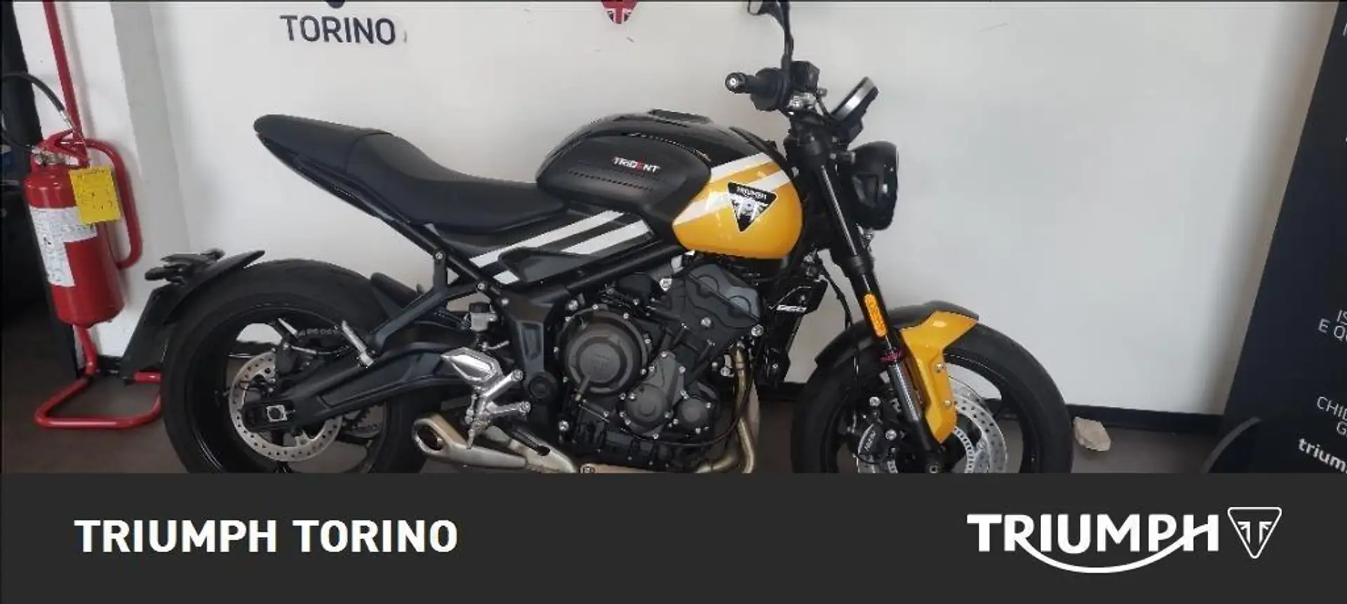 Triumph Trident 660 Abs Grau - 1