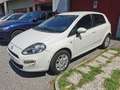 Fiat Punto Evo Punto Evo 5p 1.4 easypower Active Gpl 77cv Weiß - thumbnail 5