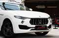 Maserati Levante 3.0 V6 Q4 Carbon Alcantara 360° ACC Blanc - thumbnail 19