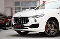 Maserati Levante 3.0 V6 Q4 Carbon Alcantara 360° ACC Blanc - thumbnail 21