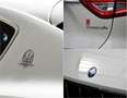 Maserati Levante 3.0 V6 Q4 Carbon Alcantara 360° ACC Blanc - thumbnail 28