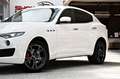Maserati Levante 3.0 V6 Q4 Carbon Alcantara 360° ACC Blanc - thumbnail 22