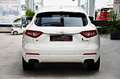 Maserati Levante 3.0 V6 Q4 Carbon Alcantara 360° ACC Blanc - thumbnail 6