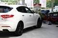Maserati Levante 3.0 V6 Q4 Carbon Alcantara 360° ACC Blanc - thumbnail 26