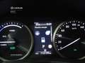 Lexus NX 300h Business 2WD Білий - thumbnail 14