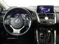Lexus NX 300h Business 2WD Bílá - thumbnail 9
