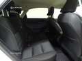 Lexus NX 300h Business 2WD Alb - thumbnail 7