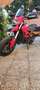 Ducati Hypermotard 939 base Rood - thumbnail 1