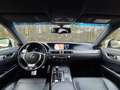 Lexus GS 300 300h F Sport AppleCarplay NAP (ZEER NETJES!) Grau - thumbnail 26