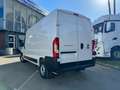 Fiat Ducato Easy Pro Plus  L3-H2 NUOVO DA IMMATRICOLARE Bianco - thumbnail 3