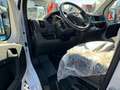 Fiat Ducato Easy Pro Plus  L3-H2 NUOVO DA IMMATRICOLARE Bianco - thumbnail 6