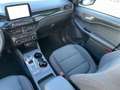 Ford Kuga PHEV ST-Line Navi Kamera Glasdach ACC Weiß - thumbnail 12