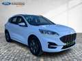 Ford Kuga PHEV ST-Line Navi Kamera Glasdach ACC Weiß - thumbnail 9