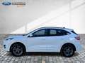 Ford Kuga PHEV ST-Line Navi Kamera Glasdach ACC Weiß - thumbnail 15