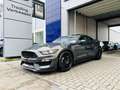 Ford Mustang 5.2i Voodoo Engine / 530 PK / Original Shelby / Pe Gris - thumbnail 1