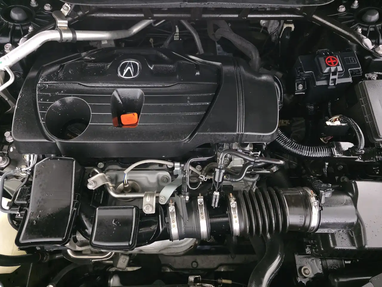 Acura TLX photo Acura TLX
