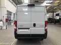 Citroen Jumper 33L2H2 140cv Euro 6E Weiß - thumbnail 8