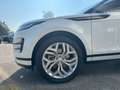Land Rover Range Rover Evoque D165 MHEV R-Dynamic S Edition Bianco - thumbnail 3