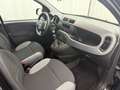 Fiat Panda CROSS 1.0 GSE FIREFLY HYBRID 70CV 5POSTI PROMO! Schwarz - thumbnail 10