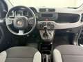 Fiat Panda CROSS 1.0 GSE FIREFLY HYBRID 70CV 5POSTI PROMO! Schwarz - thumbnail 8