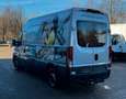 Iveco Sonstige Daily Kasten H2 L1 35S14 Radst.3520*AHK*Klima* Grau - thumbnail 7
