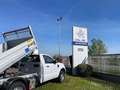 Ford Ranger 2.0 s.chassis 4x4 cabXL 2 posti Blanco - thumbnail 16